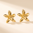 Boucles d'oreilles Anna